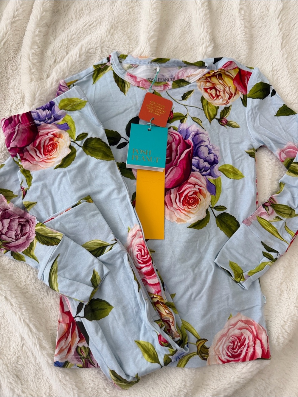 Posh Peanut Country Rose Light Blue Floral Long Sleeve Top with Roses 5T/6T